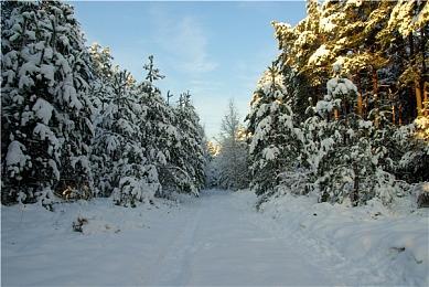 用“羁绊”的刀刃，消灭恶鬼！《鬼灭之刃 火之神血风谭2》2025年发售
