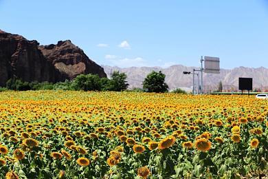 传《GTA6》第二部预告将在年底前发布 聚焦于男主